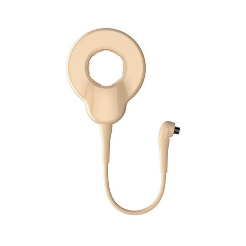 Cochlear nucleus nexa - nucleus, 8